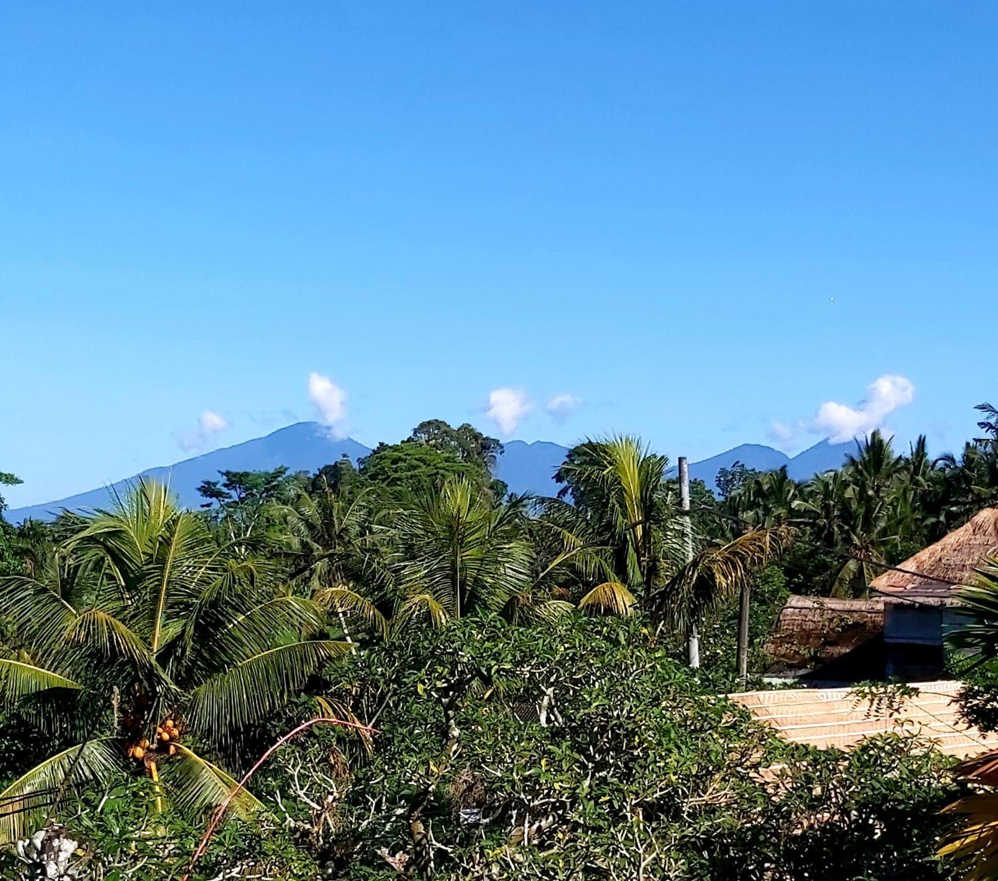 Mandala Blu Wellness Hotel Ubud  Ngoại thất bức ảnh
